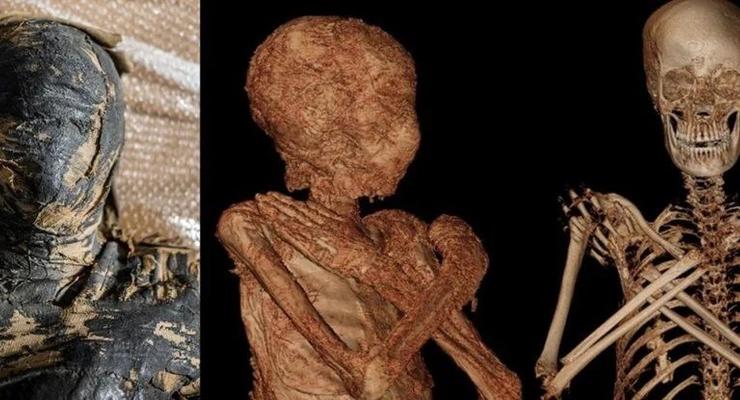 Впервые найдена беременная мумия