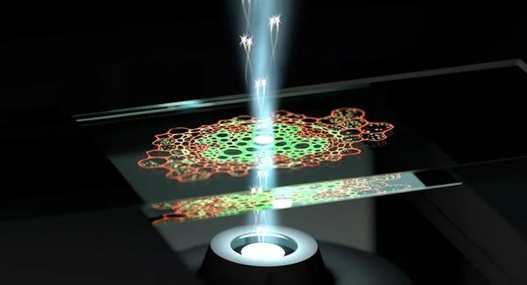 Новый квантовый микроскоп обнаружил структуры, которые невозможно увидеть