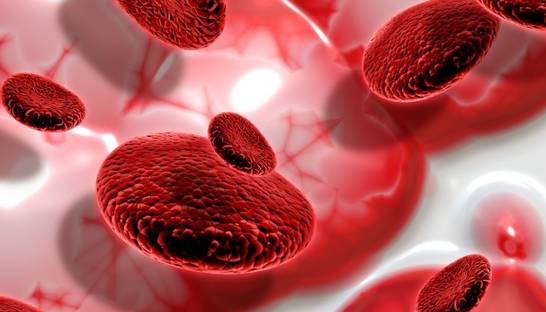 COVID-19 вносит стойкие изменения в клетки крови