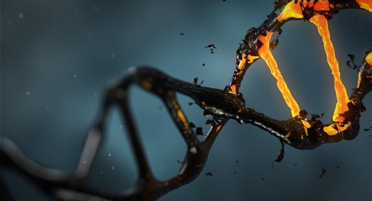 Интересный факт дня: ДНК человека уникальна всего на 1,5%