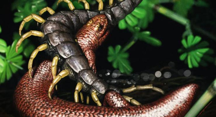 Крошечную древнюю рептилию назвали в честь заклятого врага Тора