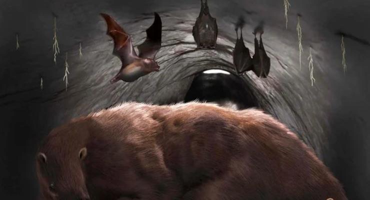 В пещере найдены останки гигантской летучей мыши-вампира