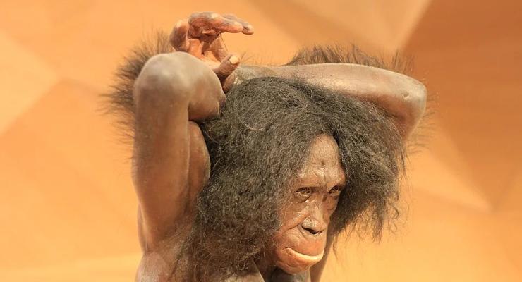 Исследование: Неандертальцы имели такую же группу крови, как и мы