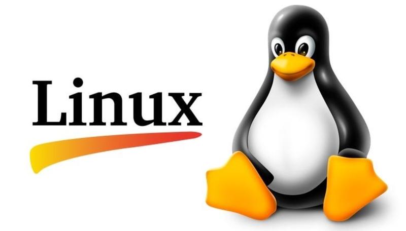 День в истории: 25 августа - Linux и открытие Северной земли