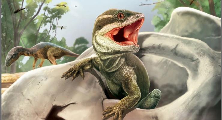 Ученые нашли окаменелого предка всех чешуйчатых рептилий