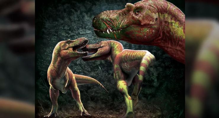Бойцовский клуб динозавров: Тираннозавры кусали друг друга за морды