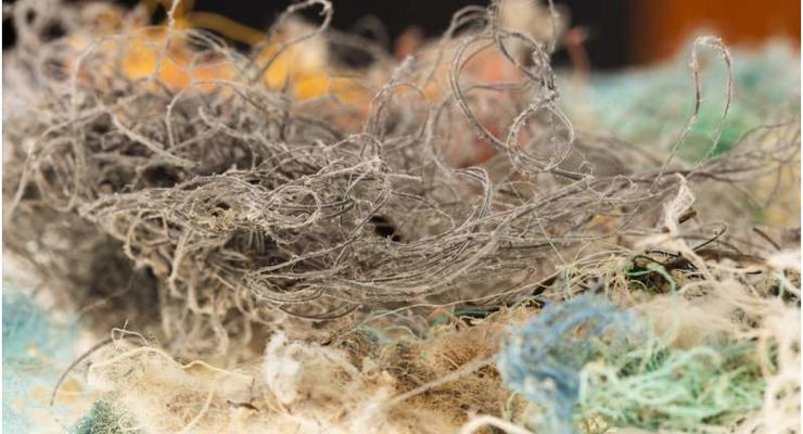 Найден неожиданный загрязнитель океана микропластиком