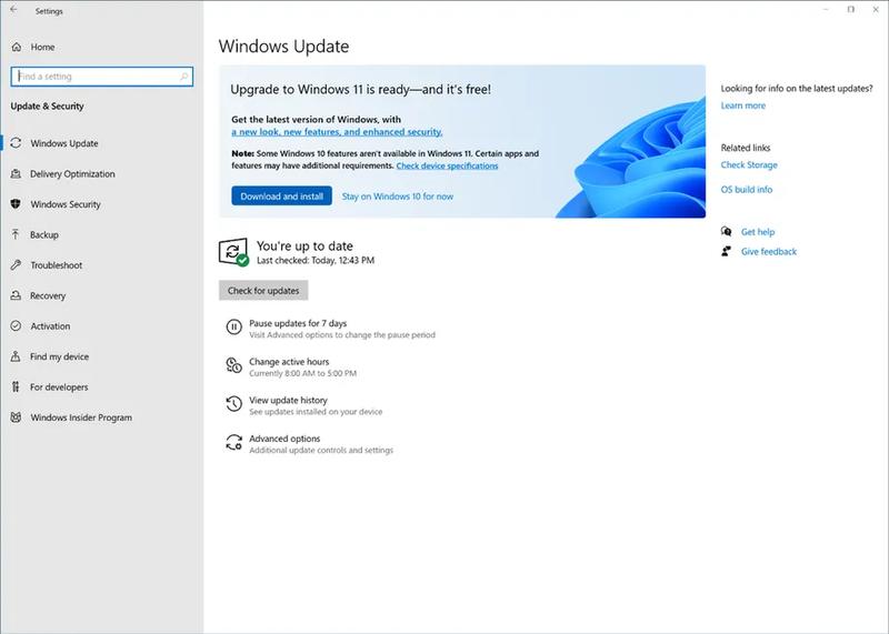 Microsoft выпустила финальную версию Windows 11 для тестировщиков / theverge.com