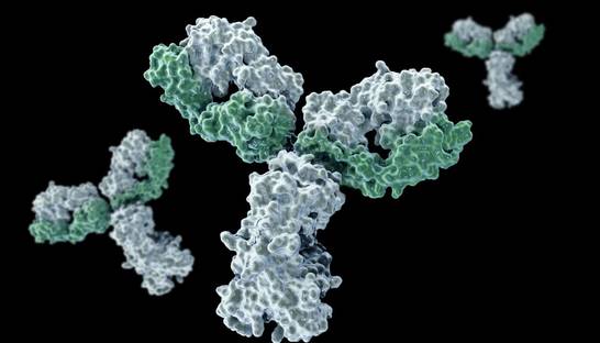 Для обмана иммунитета создают обратную вакцину