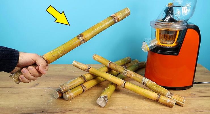 Можно ли выжать сок из сахарного тростника в соковыжималке: Эксперименты