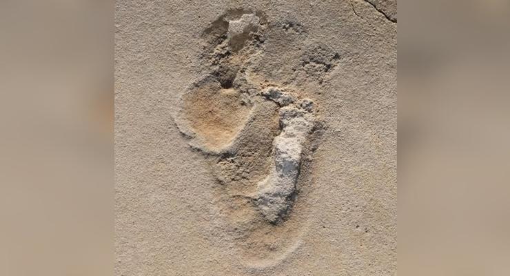 Найдены самые древние следы предков человека