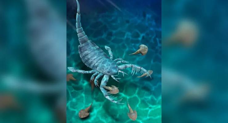 В Китае обнаружили древнего морского скорпиона размером с собаку