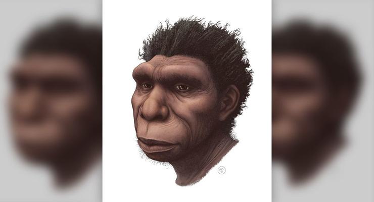 Хомо бодоенсис: Найден прямой предок современного человека