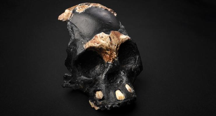 Дитя тьмы: Обнаружен древний предок человека