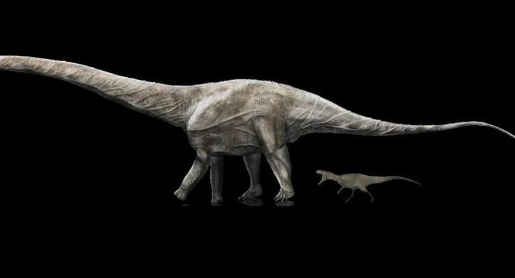 Анализ окаменелостей позволил найти самого длинного динозавра в истории