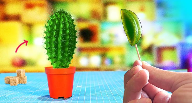 Как кактус превратить в конфеты: Эксперименты