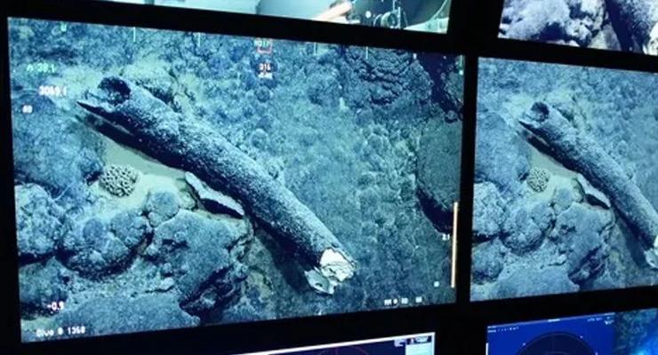 У побережья Калифорнии был обнаружен 100000-летний бивень мамонта