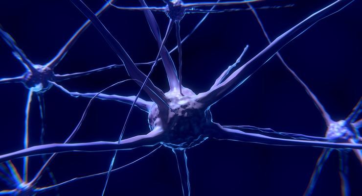 Исследователи научили клетки мозга человека играть в видеоигру лучше ИИ