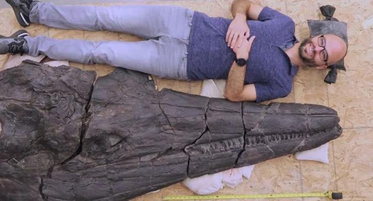 Найден древний ихтиозавр - размеры впечатляют