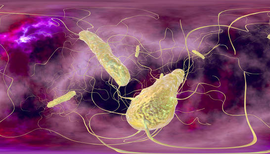 Сахарная добавка стала причиной появления опасной супербактерии