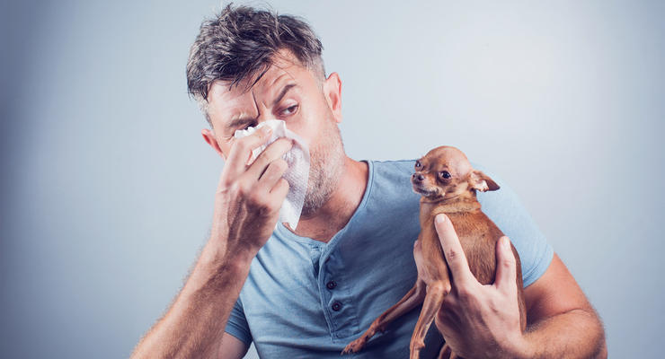 Создана вакцина для борьбы с аллергией на собак