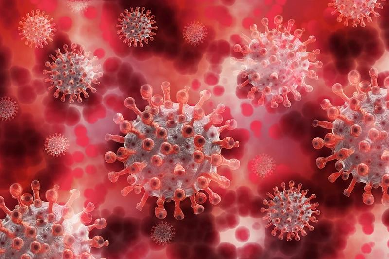 Сколько весит коронавирус? / pixabay.com
