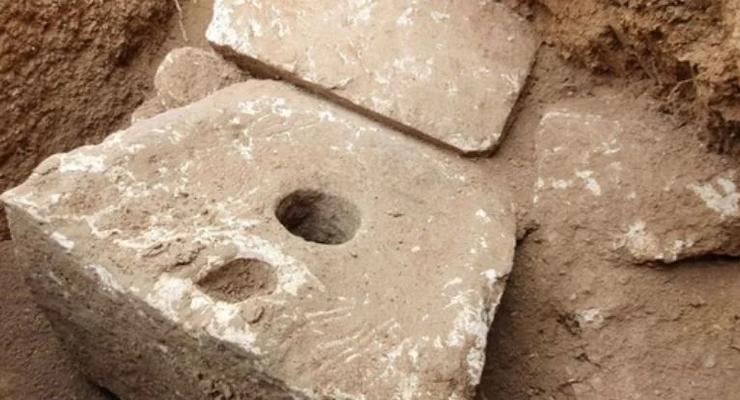 В древнем туалете обнаружены изводившие элиту Иерусалима паразиты