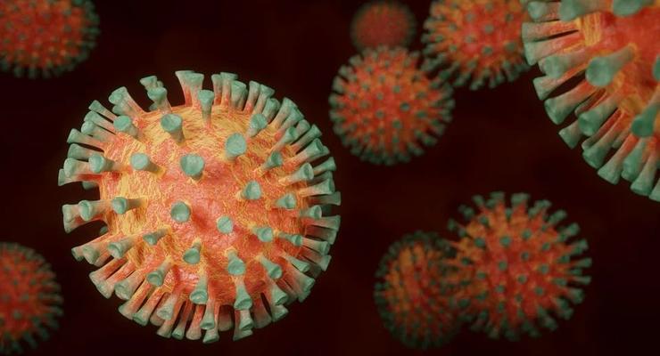 Франция обнаружила новый вариант коронавируса с 46 мутациями