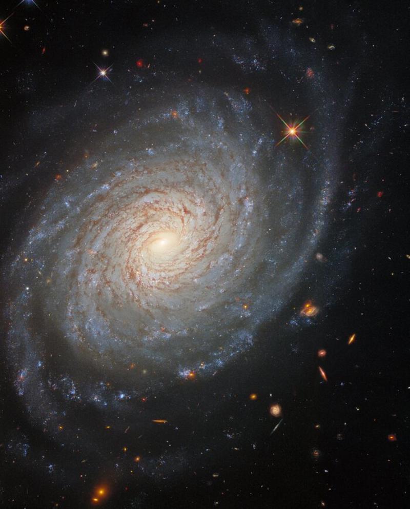 Снимок галактики NGC 976 / NASA
