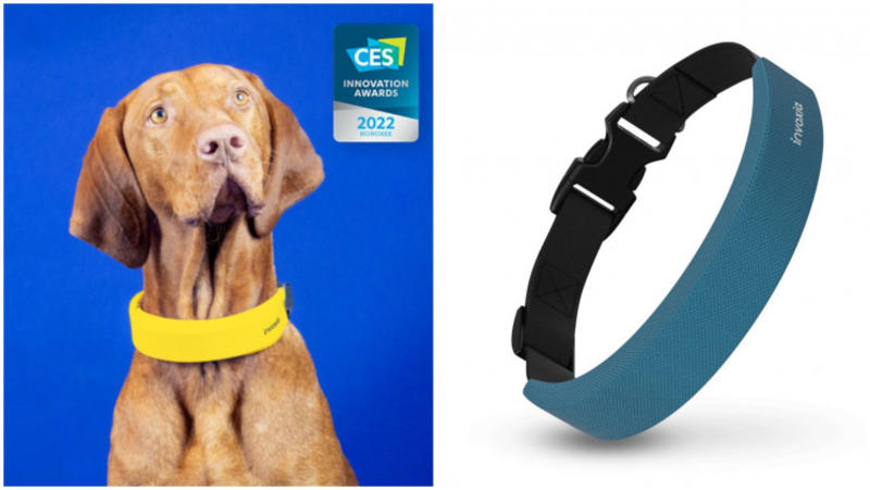 Smart Dog Collar / interestingengineering.com