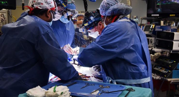 Впервые человеку пересажено модифицированное сердце свиньи