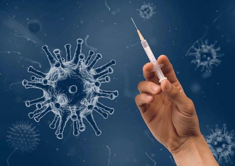 Вакцинация - один из способов остановить пандемию / pixabay.com