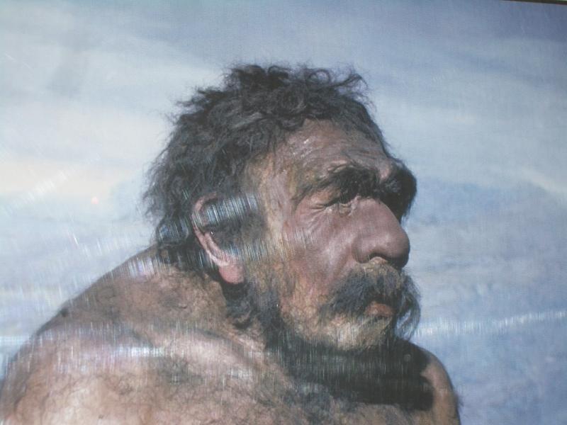 Реконструкция неандертальца / Wikimedia Commons