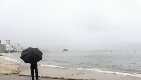 В Тихом океане появился новый вид медуз