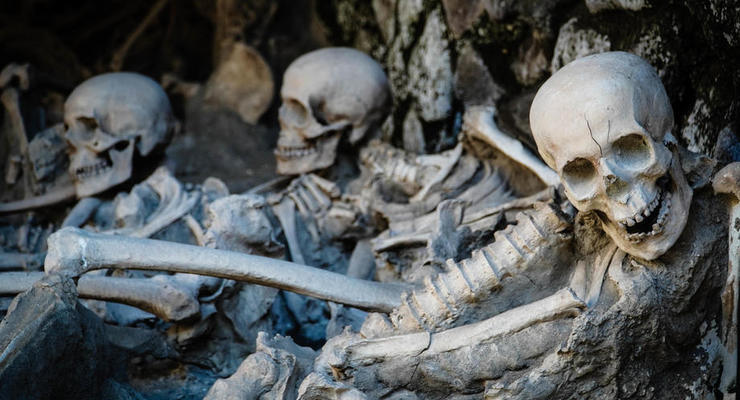 Археологи нашли захоронение жертв "черной смерти"
