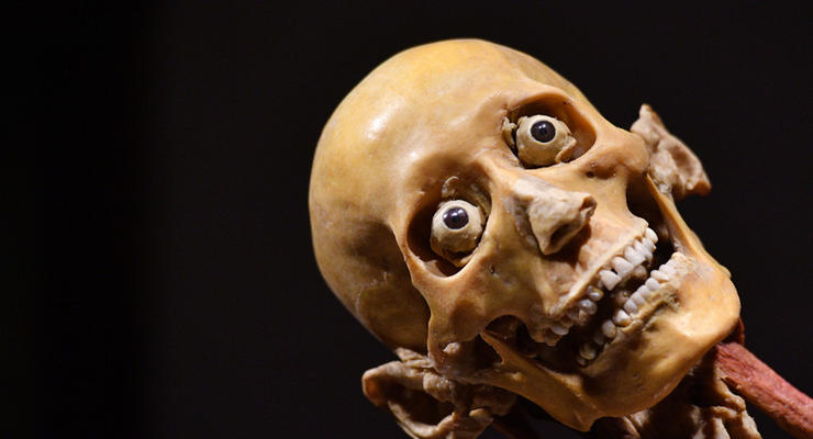 У Міннесоті знайшли череп, якому 8 тис років