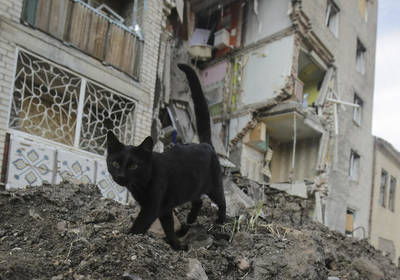 Мобильная связь может подорожать, несмотря на войну