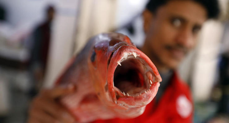 Риба в раціоні може впливати на рак шкіри – результати спостереження