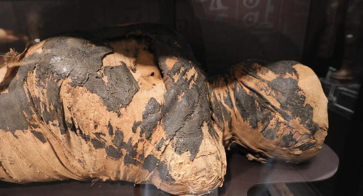 У "вагітної мумії" з Єгипту знайшли рідкісний вид раку