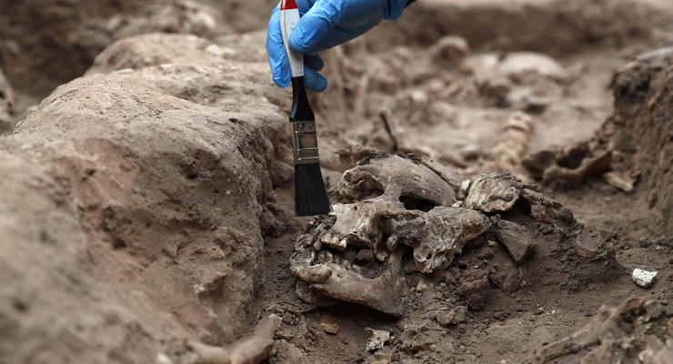 Археологи знайшли артефакти Полтавської битви