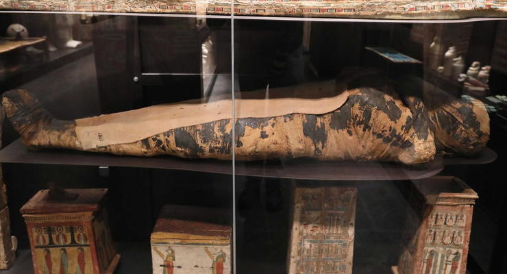 Стало известно, что на самом деле было в животе "беременной" мумии из Египта