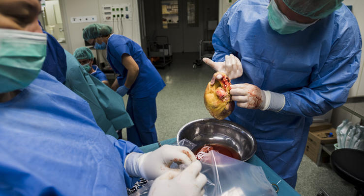 Операції у стаціонарі одного дня: що безкоштовно передбачено для пацієнта