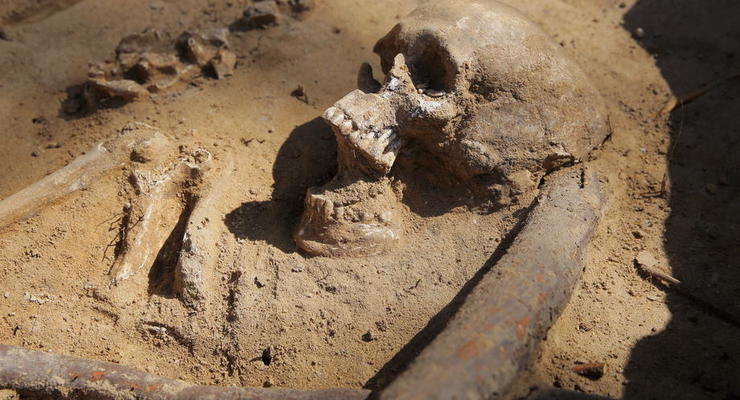 Дайверы нашли в затопленной пещере скелет доисторического человека