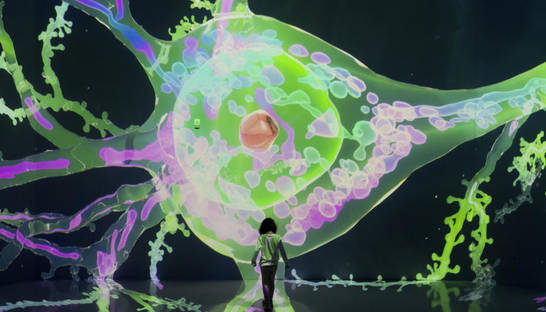 Швейцарці знайшли нову особливість мозку людини