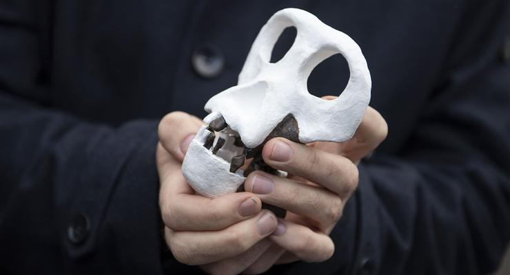 В Финляндии раскопана могила ребенка, которому 6000 лет: археологи удивлены