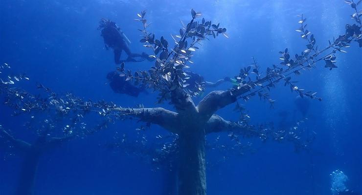 У мережі показали підводний "Сад Немо": дайвери вирощують там овочі