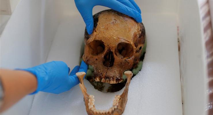 Человек прямоходящий: в Китае нашли череп, которому больше млн лет
