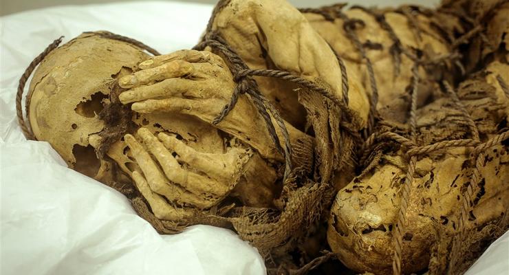 Археолог розповів про операцію з мозком під час муміфікування в Єгипті