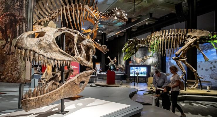 Учені розкрутили скандал через смерть динозаврів