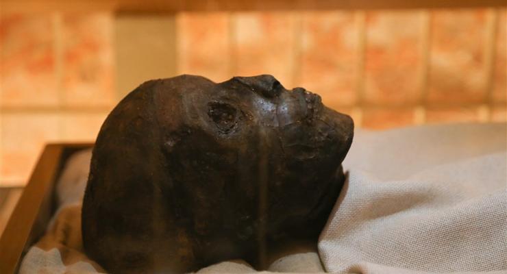 У Єгипті знайшли могилу дитини з останками понад сотні собак